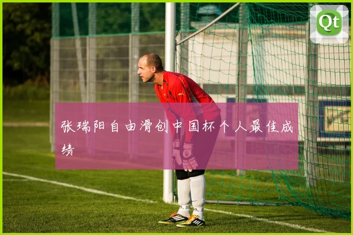 张瑞阳自由滑创中国杯个人最佳成绩