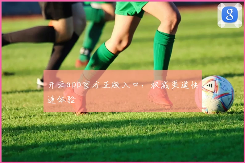 开云app官方正版入口，权威渠道快速体验